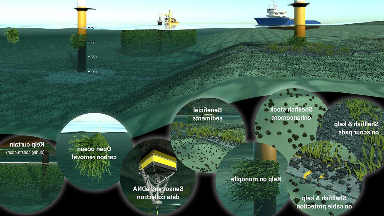 Rendering of offshore wind lease area environment with highlights of 自然的解决方案 capabilities